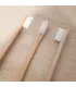Brosse à dents en hêtre suisse
