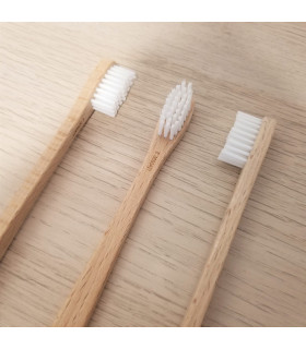 Brosse à dents en hêtre suisse
