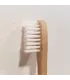 Brosse à dents en hêtre suisse
