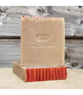 Shampoing solide Coiffé Décoiffé
